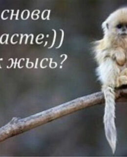Прошлое Будущее