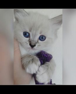 rasidkonakov1879@gmail.com